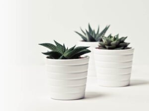 Product Name 4